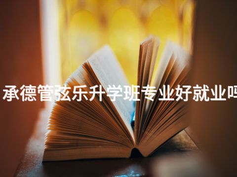 承德管弦乐升学班专业好就业吗(图1)