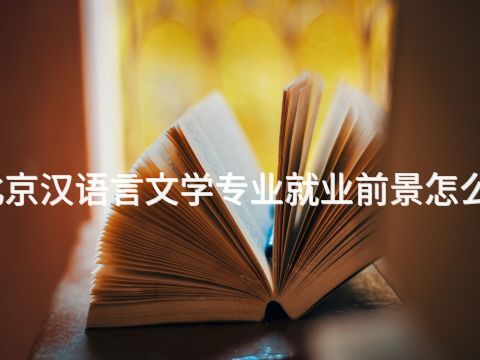 北京汉语言文学专业就业前景怎么样