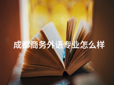 成都商务外语专业怎么样(图1)