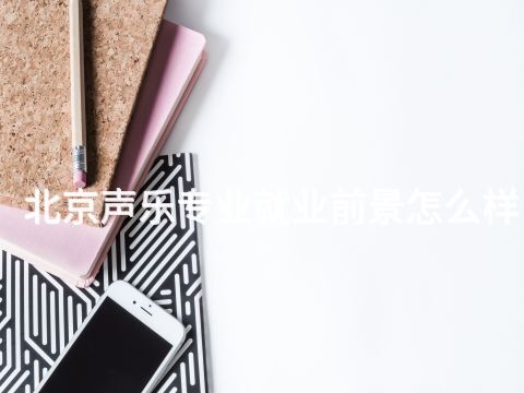 北京聲樂專業(yè)就業(yè)前景怎么樣(圖1) 北京聲樂專業(yè)就業(yè)前景怎么樣(圖1)