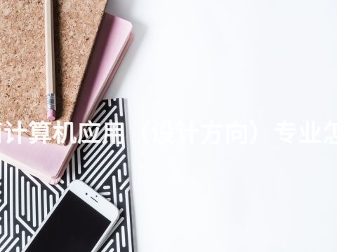 济南计算机应用（设计方向）专业怎么样