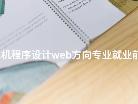 四川计算机程序设计web方向专业就业前景怎么样(图1)