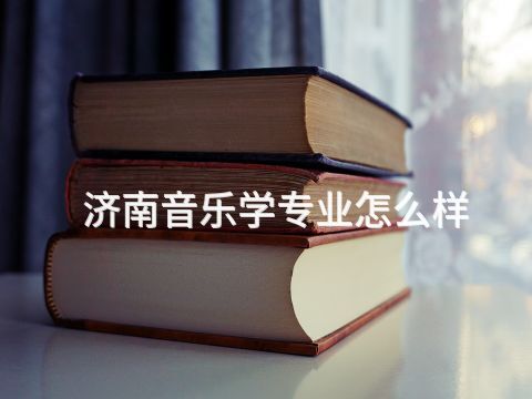 济南音乐学专业怎么样