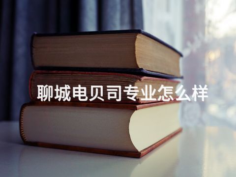 聊城电贝司专业怎么样