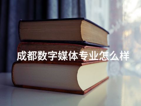 成都数字媒体专业怎么样