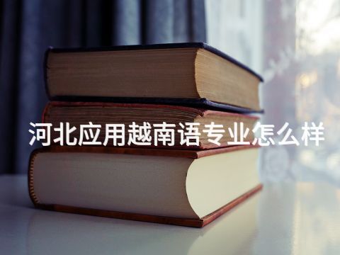 河北應用越南語專業怎么樣