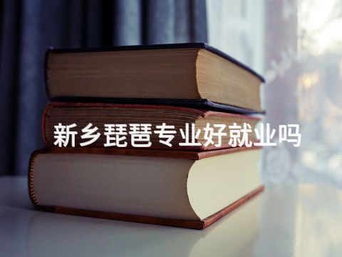 新乡琵琶专业好就业吗