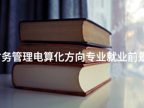 东营财务管理电算化方向专业就业前景怎么样(图1)