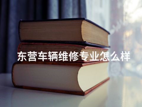 东营车辆维修专业怎么样
