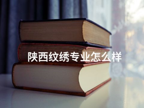 陕西纹绣专业怎么样
