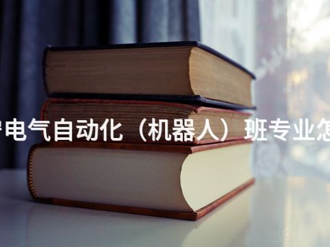 濟寧電氣自動化（機器人）班專業怎么樣