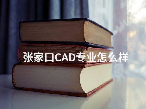 张家口CAD专业怎么样(图1) 张家口CAD专业怎么样(图1)