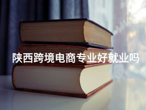 陕西跨境电商专业好就业吗