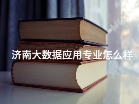 济南大数据应用专业怎么样