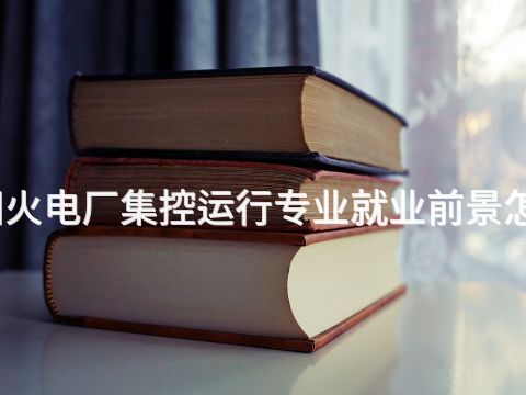 绵阳火电厂集控运行专业就业前景怎么样(图1) 绵阳火电厂集控运行专业就业前景怎么样(图1)