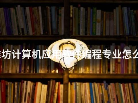 潍坊计算机应用软件编程专业怎么样