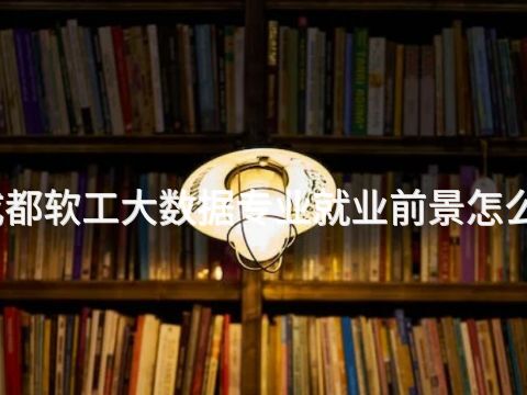 成都软工大数据专业就业前景怎么样(图1)