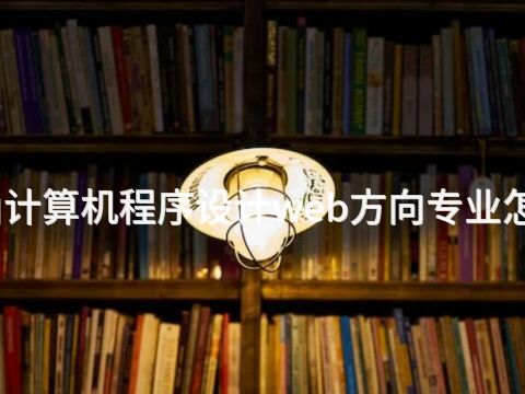 唐山计算机程序设计web方向专业怎么样