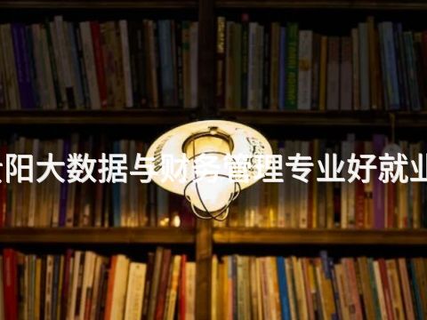 贵阳大数据与财务管理专业好就业吗(图1) 贵阳大数据与财务管理专业好就业吗(图1)