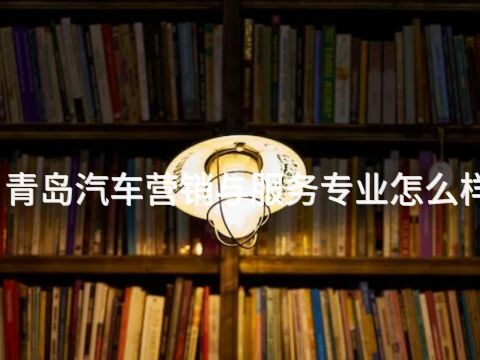 青岛汽车营销与服务专业怎么样