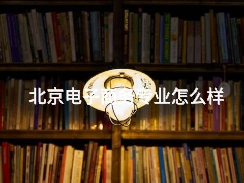 北京電子商務專業怎么樣