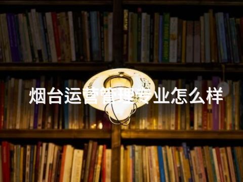 烟台运营管理专业怎么样
