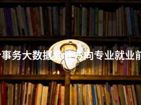 山西会计事务大数据会计方向专业就业前景怎么样(图1)