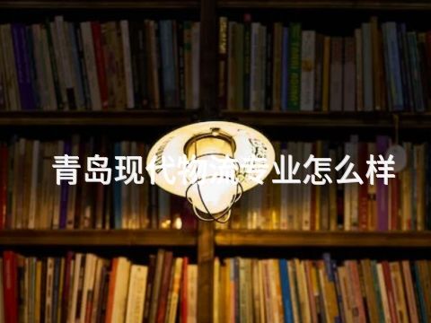 青岛现代物流专业怎么样