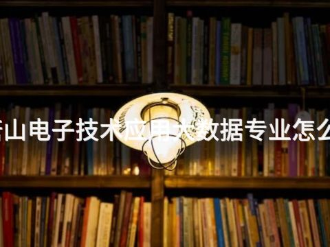 唐山电子技术应用大数据专业怎么样(图1) 唐山电子技术应用大数据专业怎么样(图1)