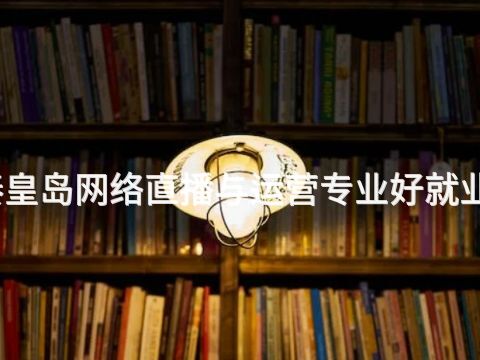 秦皇岛网络直播与运营专业好就业吗(图1)
