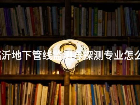 临沂地下管线监测与探测专业怎么样