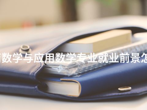 济南数学与应用数学专业就业前景怎么样