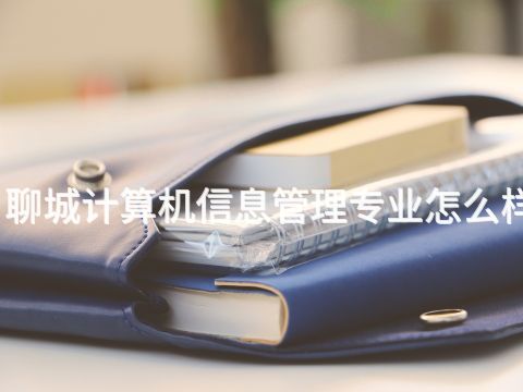 聊城计算机信息管理专业怎么样