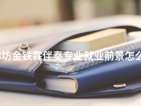 廊坊金铁霖伴奏专业就业前景怎么样