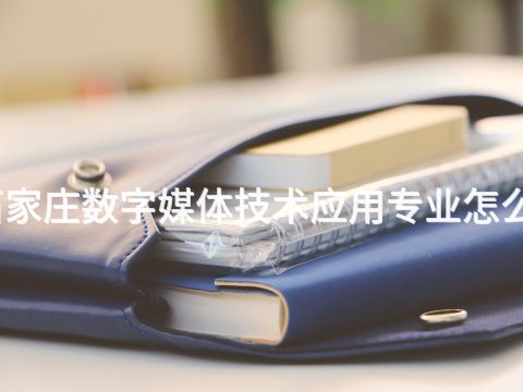 石家莊數(shù)字媒體技術(shù)應(yīng)用專業(yè)怎么樣