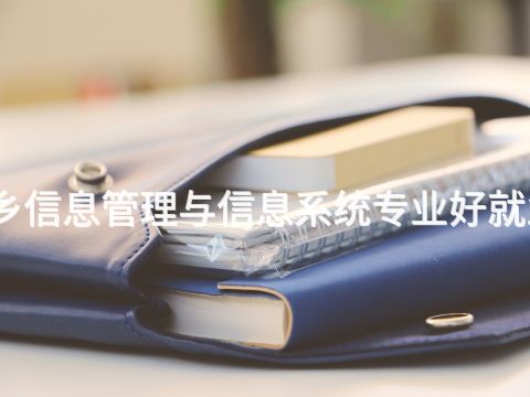 新乡信息管理与信息系统专业好就业吗