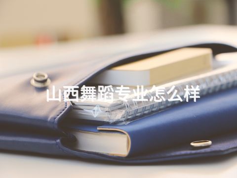 山西舞蹈专业怎么样