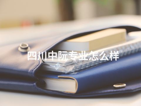 四川中阮专业怎么样(图1) 四川中阮专业怎么样(图1)