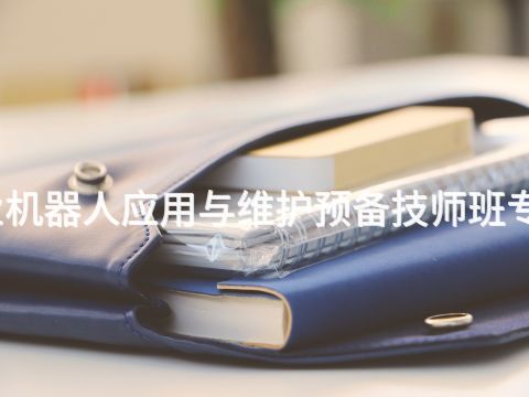河南工业机器人应用与维护预备技师班专业怎么样