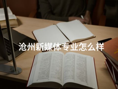 沧州新媒体专业怎么样