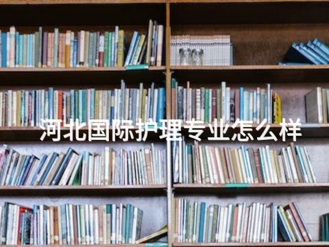 河北国际护理专业怎么样(图1) 河北国际护理专业怎么样(图1)