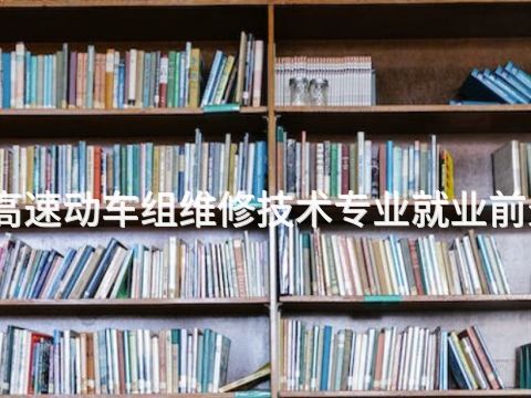 秦皇岛高速动车组维修技术专业就业前景怎么样