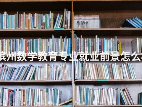 滨州数学教育专业就业前景怎么样