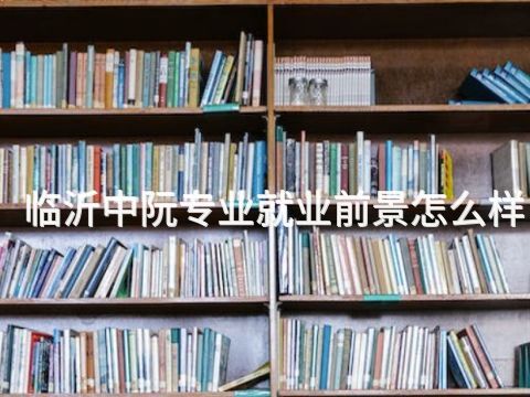 臨沂中阮專業就業前景怎么樣(圖1) 臨沂中阮專業就業前景怎么樣(圖1)