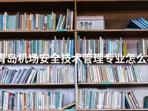 青岛机场安全技术管理专业怎么样(图1) 青岛机场安全技术管理专业怎么样(图1)