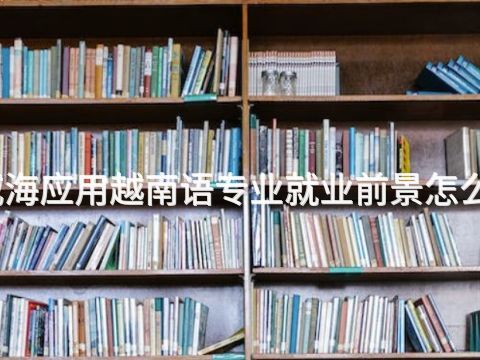 威海应用越南语专业就业前景怎么样(图1) 威海应用越南语专业就业前景怎么样(图1)