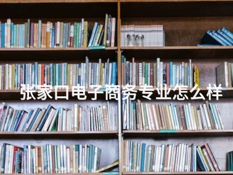 张家口电子商务专业怎么样