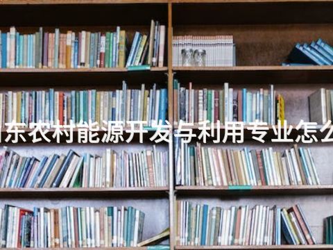 山东农村能源开发与利用专业怎么样