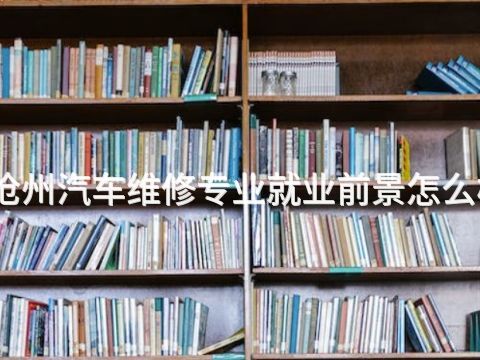 沧州汽车维修专业就业前景怎么样(图1) 沧州汽车维修专业就业前景怎么样(图1)