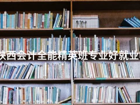 陕西会计全能精英班专业好就业吗